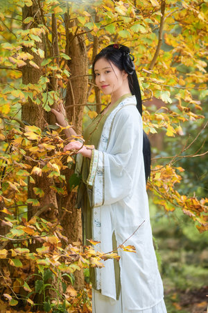 在线免费电影图片区
