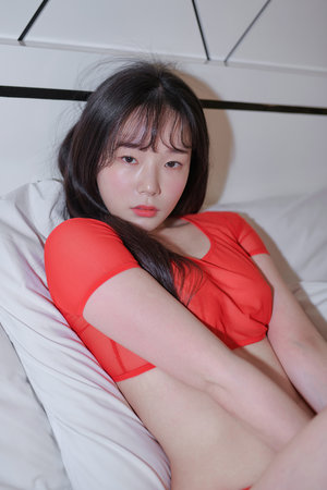骚虎视频在线观看apk下载