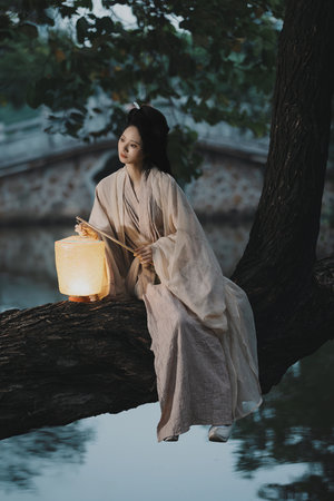 一级国产性感片