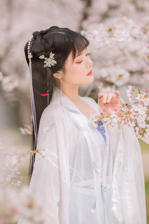 布拉芙夫人在线