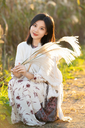 台湾电影花楼满春