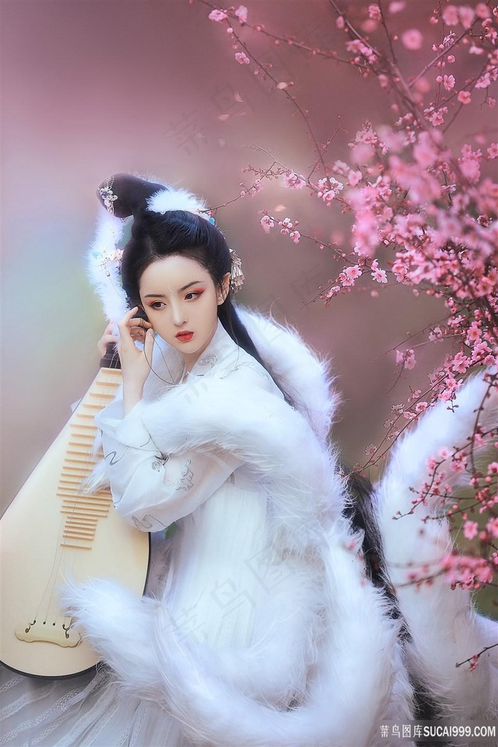 两个人的BD高清在线观看视频韩国